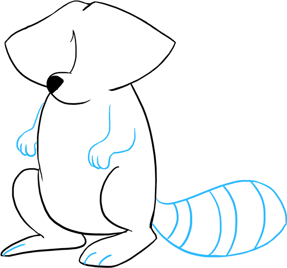 Drawing Raccoon Cute Forest Animal - Drawing Raccoon Cute Forest Animal (680x678)