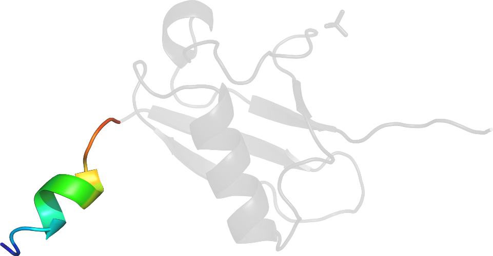 D6fnoc2 In Context Of Chain - D6fnoc2 In Context Of Chain (961x500)