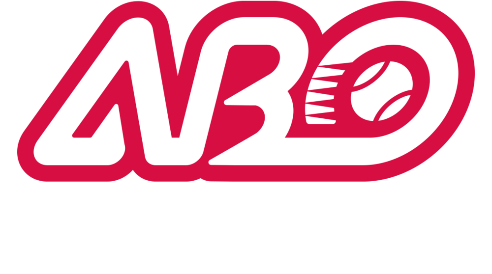 Alternative Baseball Organization Transparent Background - Alternative Baseball Organization Transparent Background (1000x558)