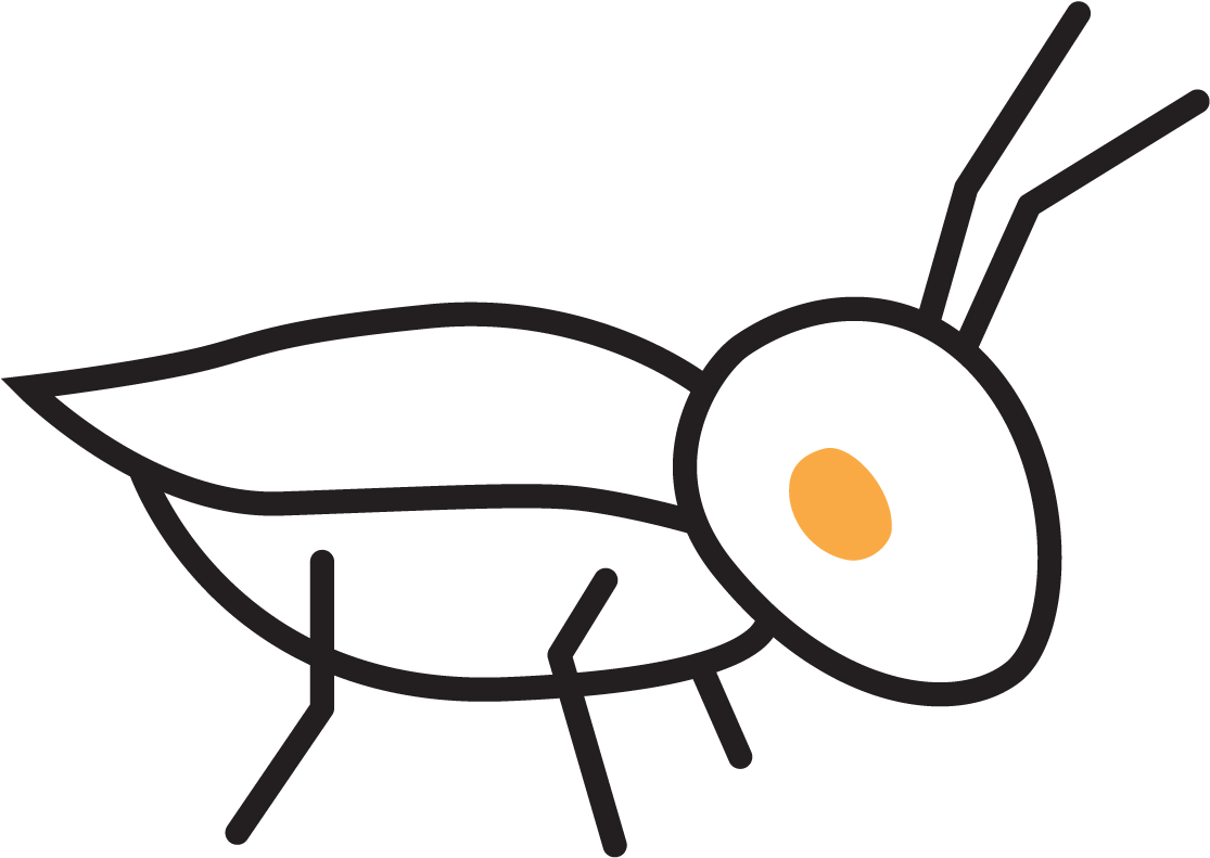 Collection Of Free Hopped Grillo Download On - Collection Of Free Hopped Grillo Download On (1200x855)