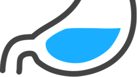 Stomach Clipart Transparent - Stomach Clipart Transparent (552x312)