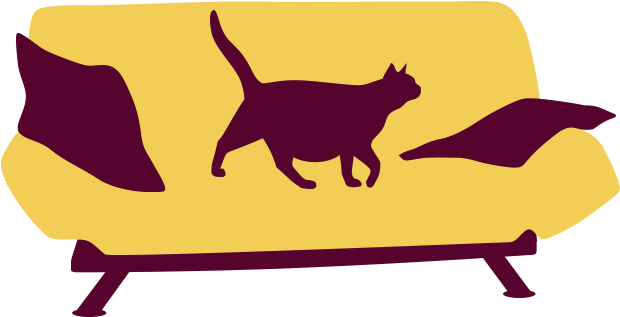 Is Your Cat An Indoor Or Outdoor Cat - Is Your Cat An Indoor Or Outdoor Cat (712x450)
