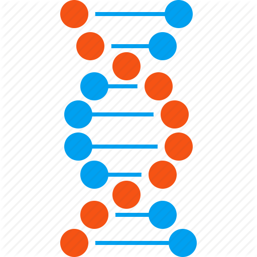 Structure Genetic Engineering Genetics - Structure Genetic Engineering Genetics (512x512)