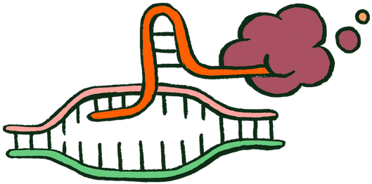 You Don T Know Gmos Its Surprisingly - You Don T Know Gmos Its Surprisingly (600x286)