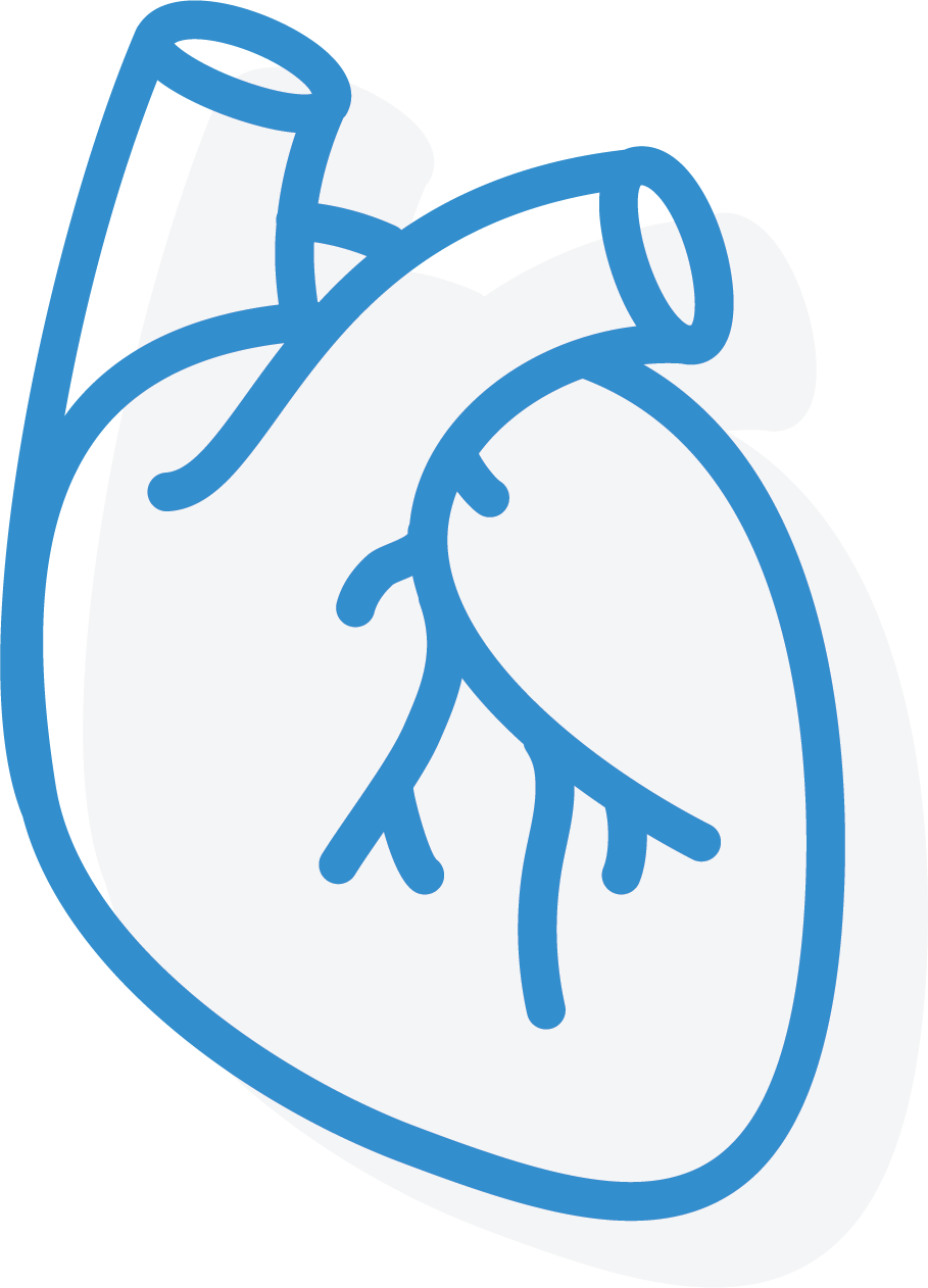 Cardiology Icon - Cardiology Icon (909x1262)
