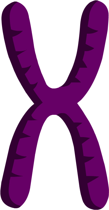 Genetics Clipart - Genetics Clipart (880x880)