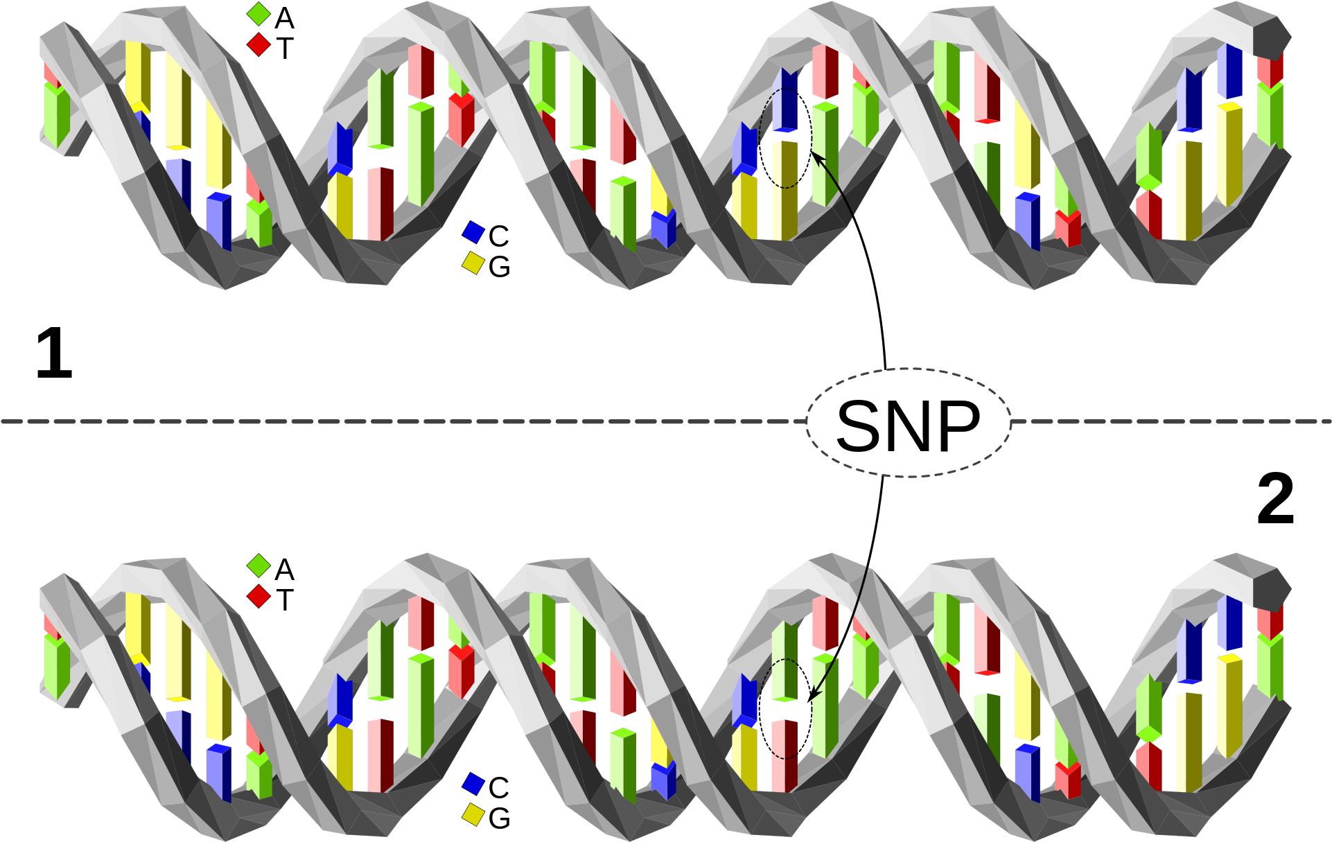 File Snp Wikimedia Commons - File Snp Wikimedia Commons (2000x1304)