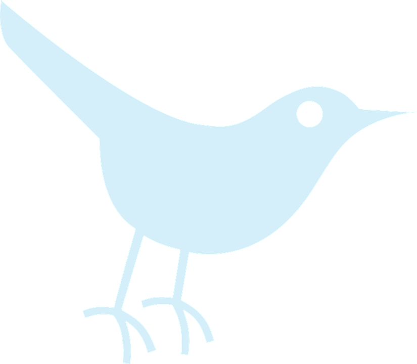 Tweet Bird Free Vector Graphic On Pixabay - Tweet Bird Free Vector Graphic On Pixabay (825x720)