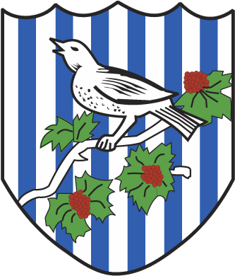 West Bromwich Albion - West Bromwich Albion (400x400)