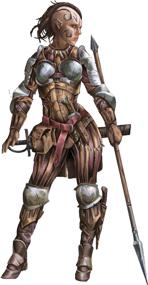 F Fighter Plate Armor - F Fighter Plate Armor (724x965)