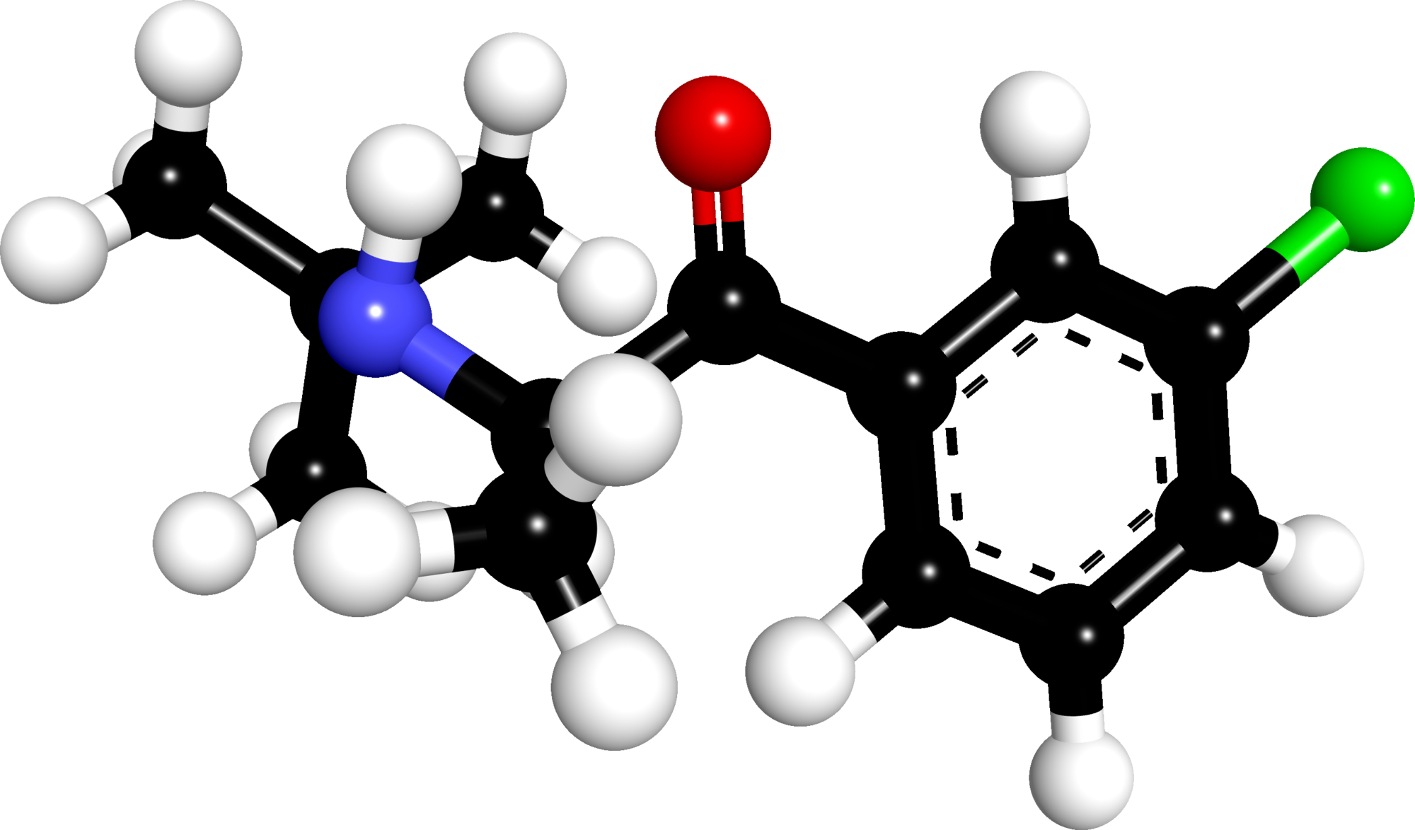 How Much Lasix For Dogs - How Much Lasix For Dogs (2000x1173)