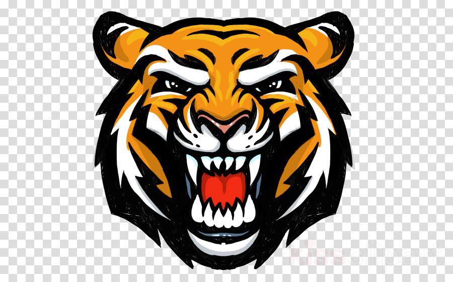 Tiger Face Png Clipart Tiger Clip Art - Tiger Face Png Clipart Tiger Clip Art (900x560)