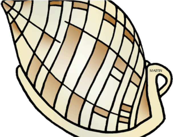 Shell Clipart Phillip Martin - Shell Clipart Phillip Martin (640x480)