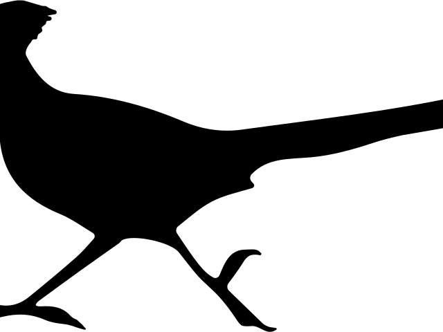 Roadrunner Clipart Svg - Roadrunner Clipart Svg (640x480)