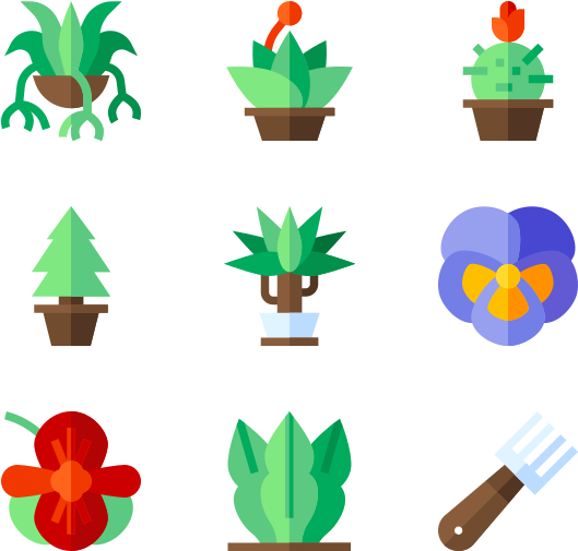 House Plants - House Plants (600x564)