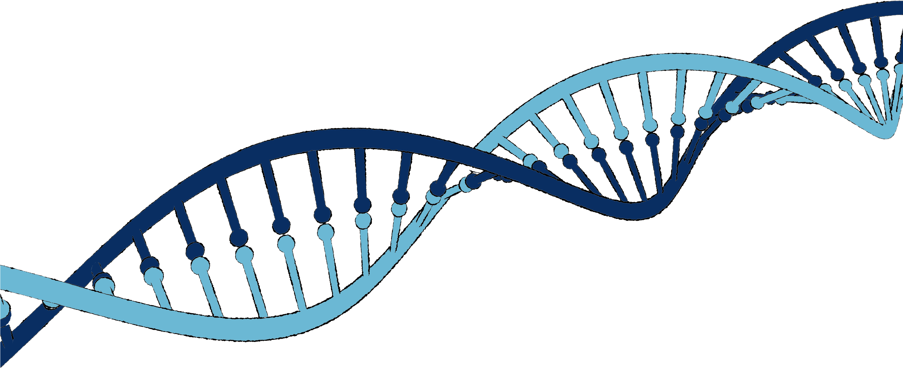 Whether You're A Healthcare Executive, Nurse, Physician, - Whether You're A Healthcare Executive, Nurse, Physician, (3072x1331)