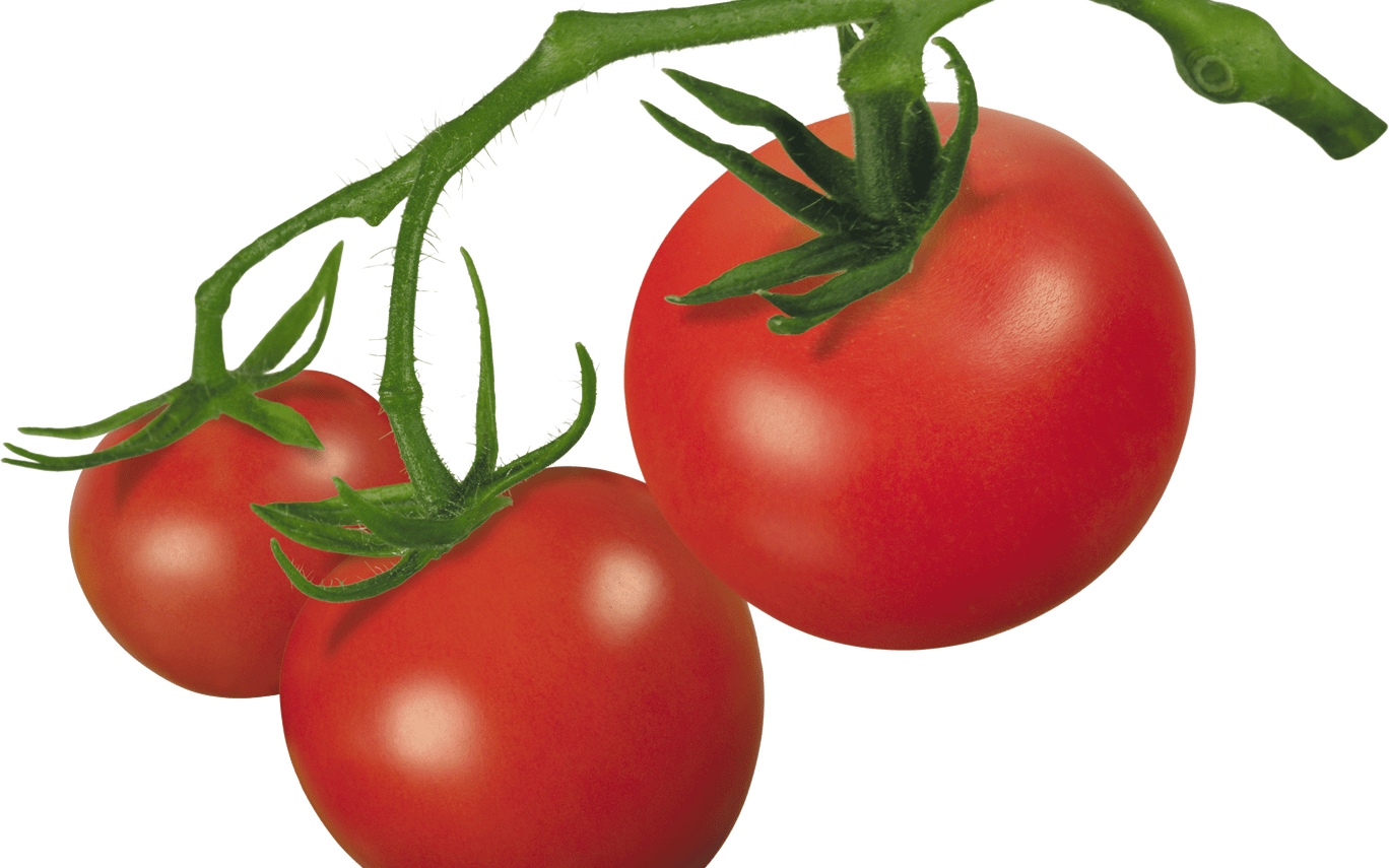 15 Vines Clipart Transparent Background For Free Download - 15 Vines Clipart Transparent Background For Free Download (1368x855)