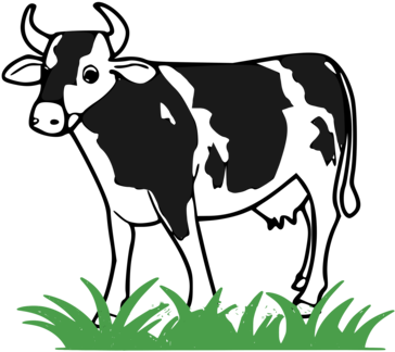 Holstein Friesian Cattle Baka Taurine Cattle Dairy - Holstein Friesian Cattle Baka Taurine Cattle Dairy (381x340)