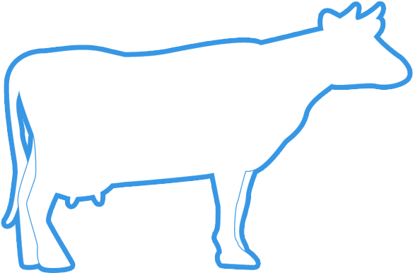 Qurban Cow Slaughter Matw - Qurban Cow Slaughter Matw (720x508)