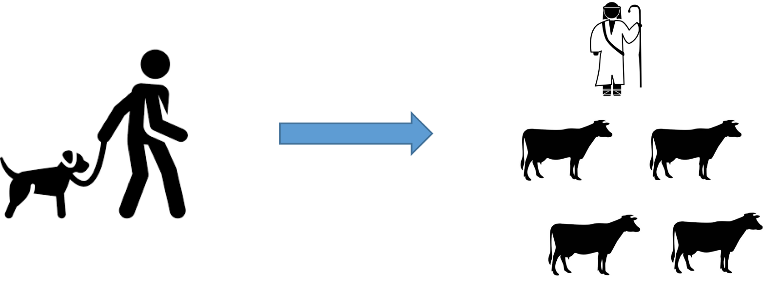 From Being A Pet Owner To Becoming A Herdsman - From Being A Pet Owner To Becoming A Herdsman (1600x633)