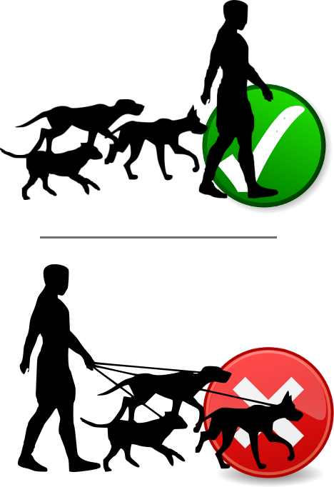 Instructions For Dog Owners Royalty Free Download - Instructions For Dog Owners Royalty Free Download (468x682)