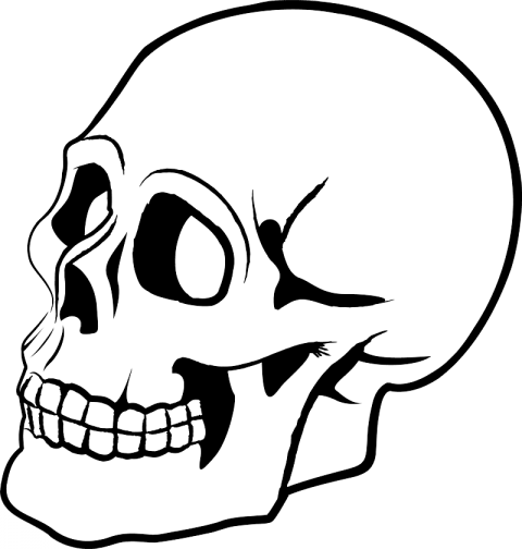 Free Png Download Skulls Clipart Png Photo Png Images - Free Png Download Skulls Clipart Png Photo Png Images (480x504)