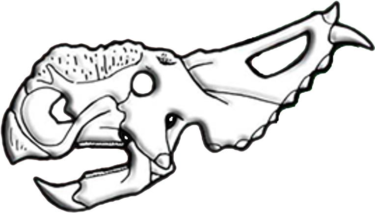 Pachyrhinosaurus Skull Diagram - Pachyrhinosaurus Skull Diagram (851x520)