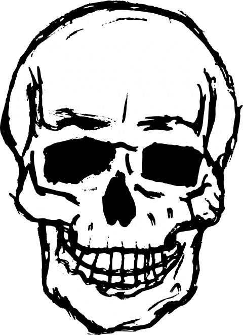Download Skulls Clipart Png Photo - Download Skulls Clipart Png Photo (480x661)