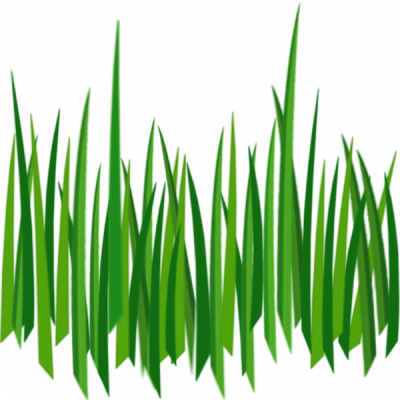 Grass Png Image Green Grass Png Picture - Grass Png Image Green Grass Png Picture (400x400)