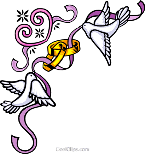 Free Png Download Wedding Ring Border Png Images Background - Free Png Download Wedding Ring Border Png Images Background (480x507)