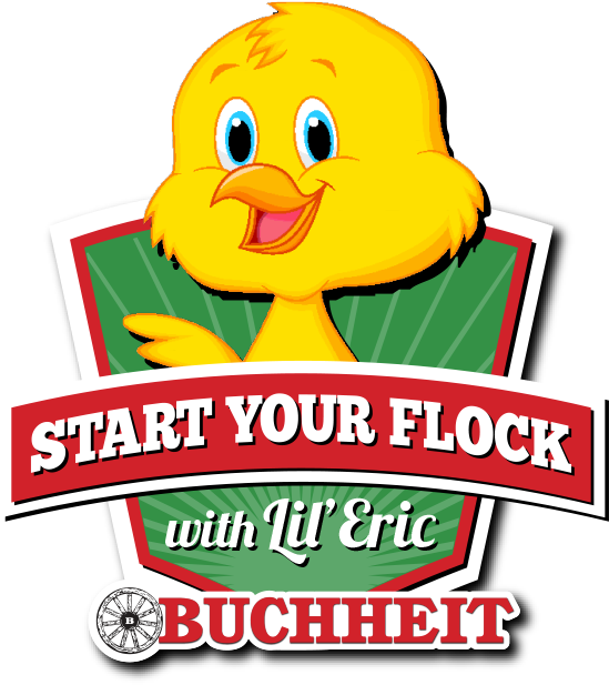Start Your Flock With Lil' Eric - Start Your Flock With Lil' Eric (560x624)