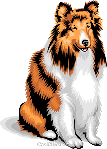 Dog/collie Royalty Free Vector Clip Art Illustration - Dog/collie Royalty Free Vector Clip Art Illustration (345x480)