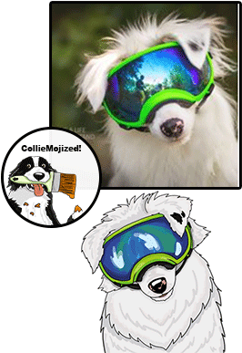 Colliemoji Provides Fun And Entertaining Emojis For - Colliemoji Provides Fun And Entertaining Emojis For (420x400)