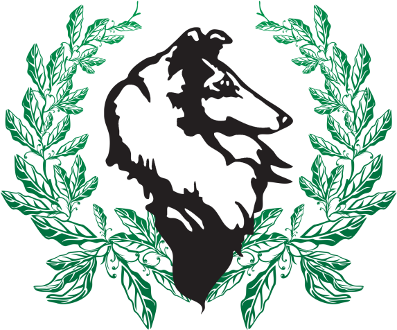 Greenbrier Collies - Greenbrier Collies (600x507)