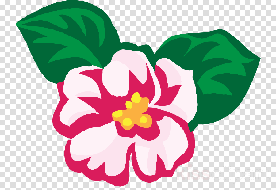 Begonia Clipart Clip Art - Begonia Clipart Clip Art (900x620)