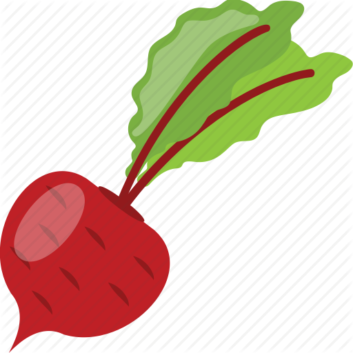 Beet Vector - Beet Vector (512x512)