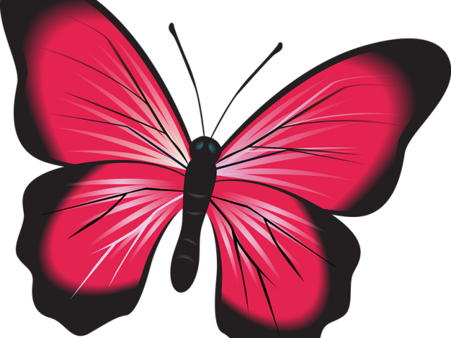 Symmetry Clipart Nature Clipart - Symmetry Clipart Nature Clipart (640x480)