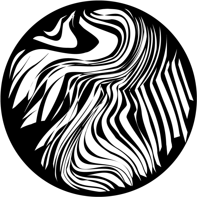 Wild Zebra Print - Wild Zebra Print (800x800)