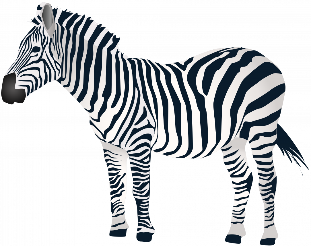Large Size Of How To Draw A Zebra Print Animal Patterns - Large Size Of How To Draw A Zebra Print Animal Patterns (1084x857)