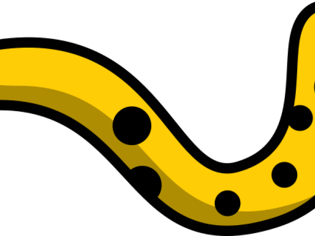 Leopard Clipart Tail - Leopard Clipart Tail (640x480)