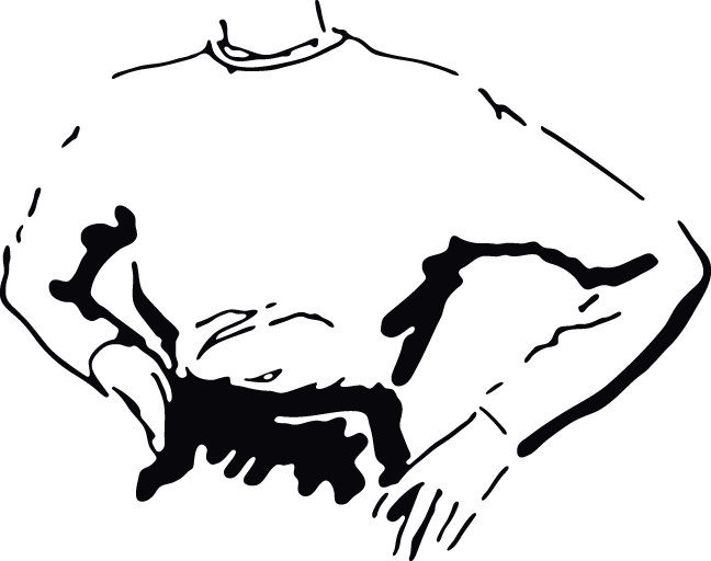 240ra - Woman's Torso - 240ra - Woman's Torso (648x512)