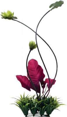 More Free Lily Pad Png Images - More Free Lily Pad Png Images (400x400)
