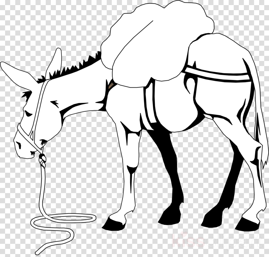 Donkey Clip Art Clipart Donkey Clip Art - Donkey Clip Art Clipart Donkey Clip Art (900x860)