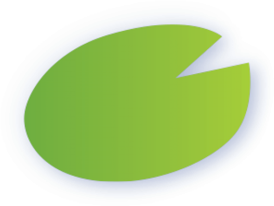Lily Pad Clipart Small - Lily Pad Clipart Small (640x480)