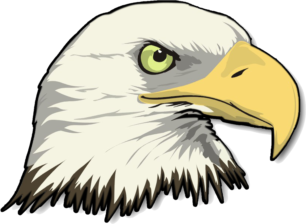 Clip Art Cartoon Eagle Pictures - Clip Art Cartoon Eagle Pictures (1267x998)