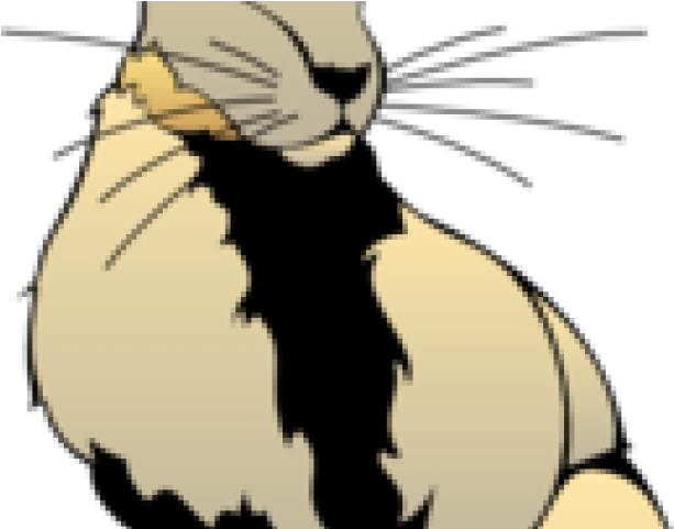 Jack Rabbit Clipart Hare - Jack Rabbit Clipart Hare (640x480)