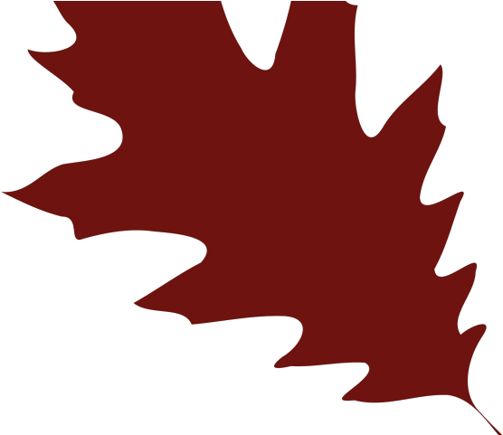 Resume Clipart Red Oak Tree - Resume Clipart Red Oak Tree (640x480)