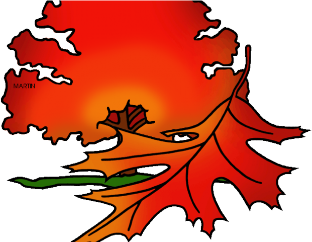 Resume Clipart Red Oak Tree - Resume Clipart Red Oak Tree (640x480)