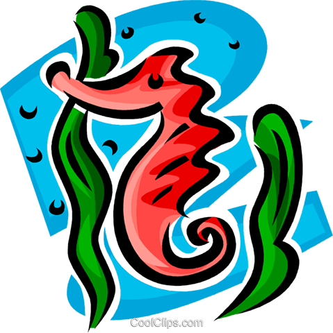 Sea Horse Royalty Free Vector Clip Art Illustration - Sea Horse Royalty Free Vector Clip Art Illustration (479x480)