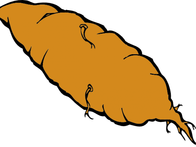 Yam Cliparts - Yam Cliparts (640x480)